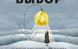 Выбор. О свободе и внутренней силе человека. Аудиокнига