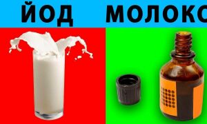 Для чего пьют молоко с йодом? В чём польза…