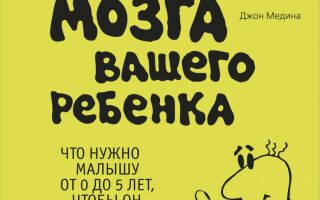 Правила развития мозга вашего ребенка. Аудиокнига