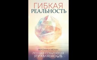 Гибкая реальность. Аудиокнига